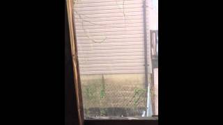 Crazy Hail Storm In Bellwood Pa 4202015