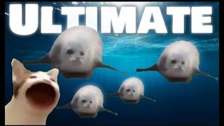 Bouncing Seals ULTIMATE 2022 (ORIGINAL SONG)#funny