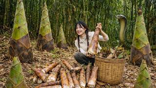 Giant bamboo shoots - Harvesting to sell at the market - Peaceful Village - Cooking bamboo shoots