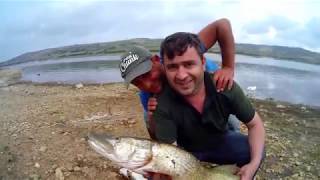 VURGAN CARP-7.KG LIK TURNA BALIK AVI