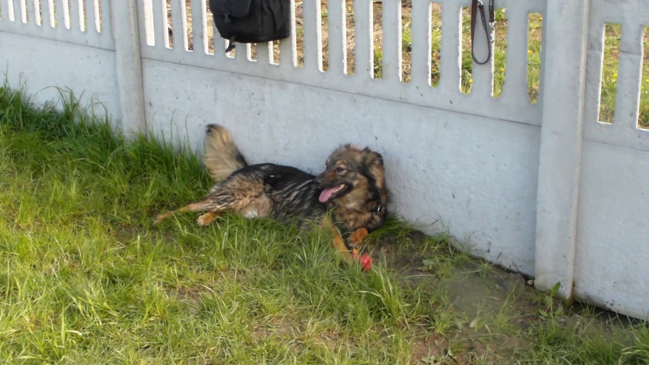 Bel.342903-003344-318194.