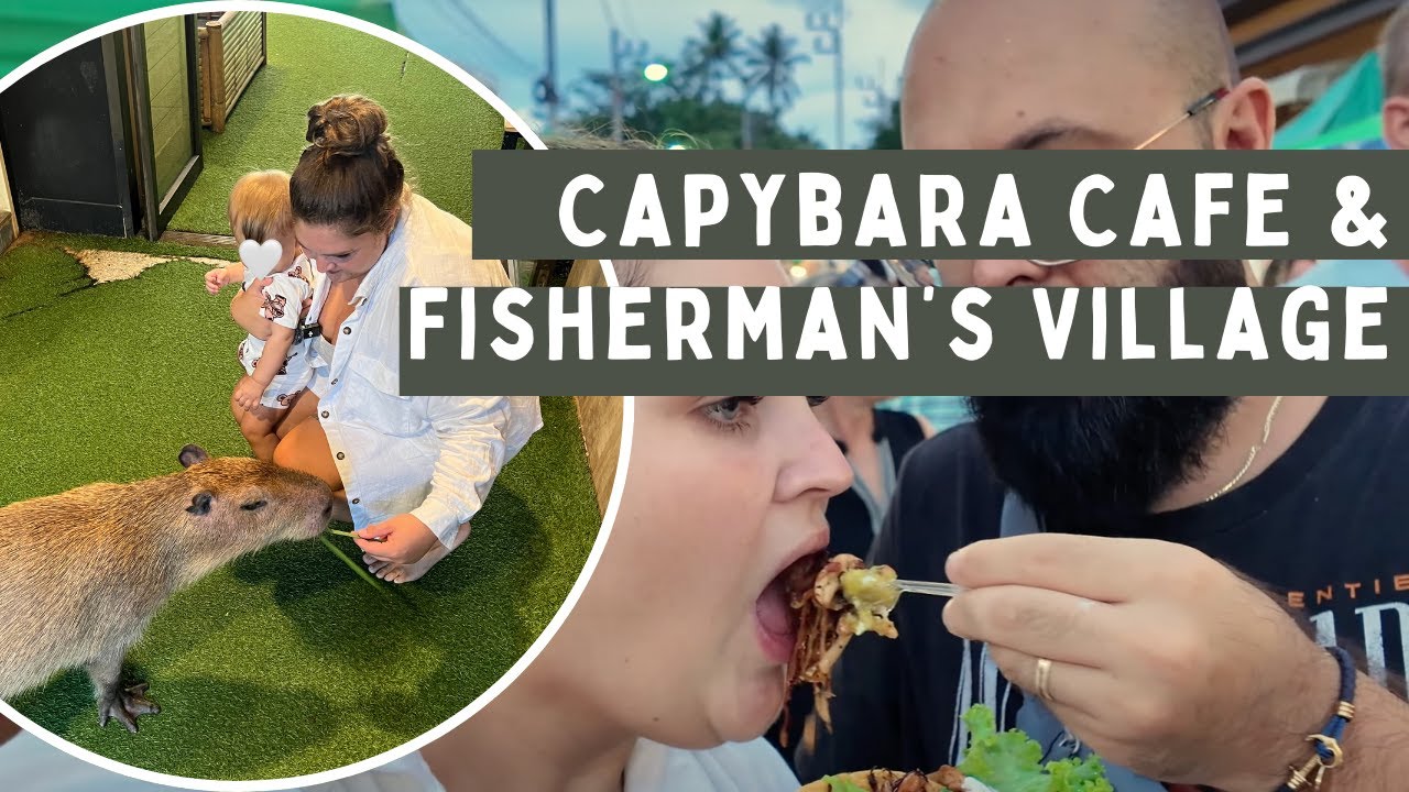 Capybara Café & Night Market Fishermans Village Vibes 🌅🐾 Ein perfekter Tag auf Koh Samui!