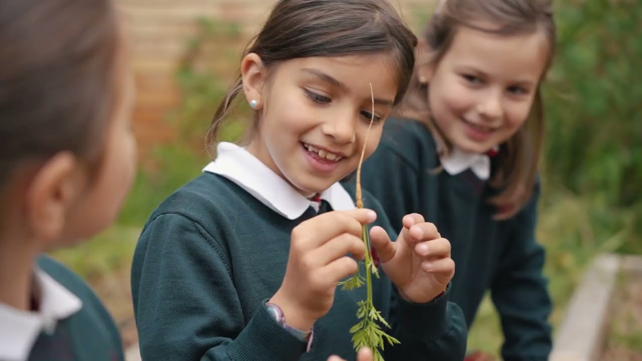 El Colegio Sansueña lidera el proyecto de educación ambiental 