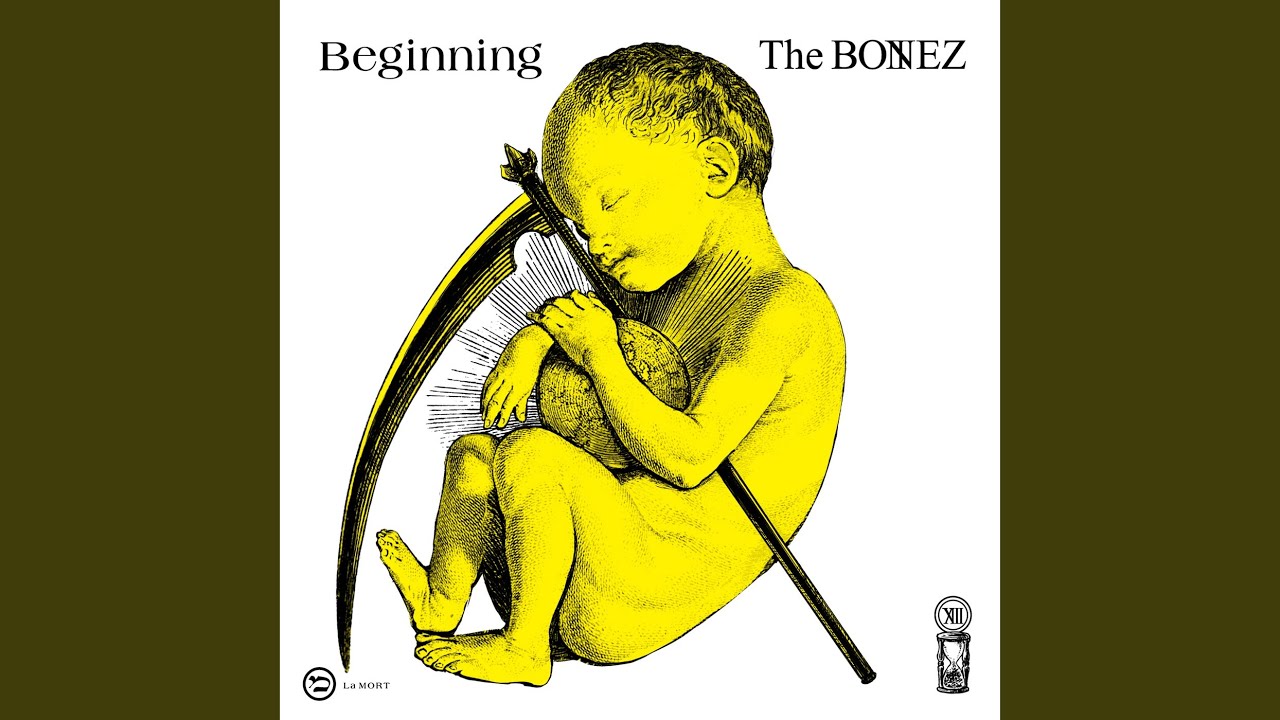 The BONEZ ［I'M NOT YOUR KING］ - YouTube