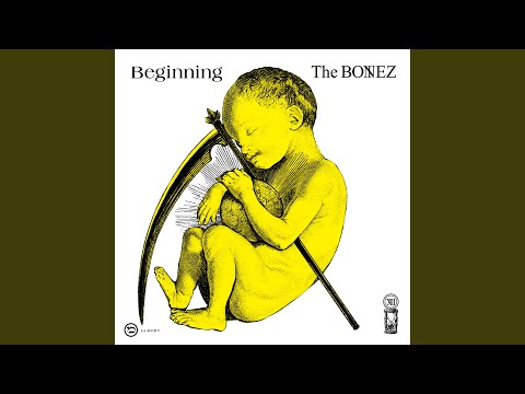 The BONEZ ［I'M NOT YOUR KING］ - YouTube