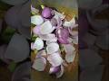 #food #cooking #foodie #recipe #shorts #foodpreparationshortvideo