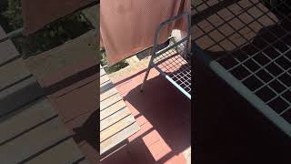 IMG 7980