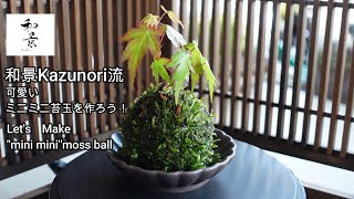 直径4cm可愛いミニミニ苔玉の作り方