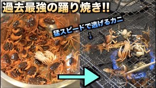 元気な大量のサワガニを踊り焼きしたら大変な目にあった！！！