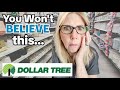 DOLLAR TREE🌳Unseen until NOW ! Shop with me | DID YOU KNOW THEY HAD THESE?! 