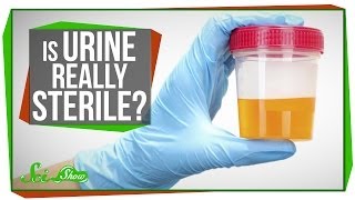 Is Urine Really Sterile? Is Urine Really Sterile?