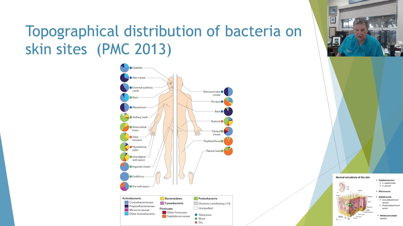 The Brain Skin Connection Series: 8. The Human Skin Microbiome