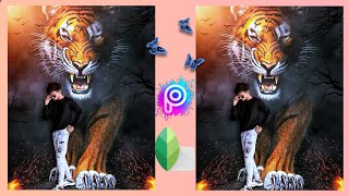 TIGER PHOTO EDITING TUTORIAL | Eloi cuttiefy screenshot 2