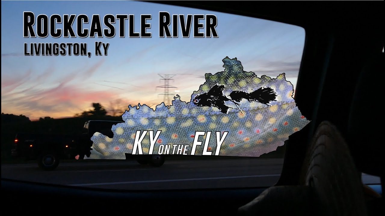 Rockcastle River Float & Fly Fishing YouTube