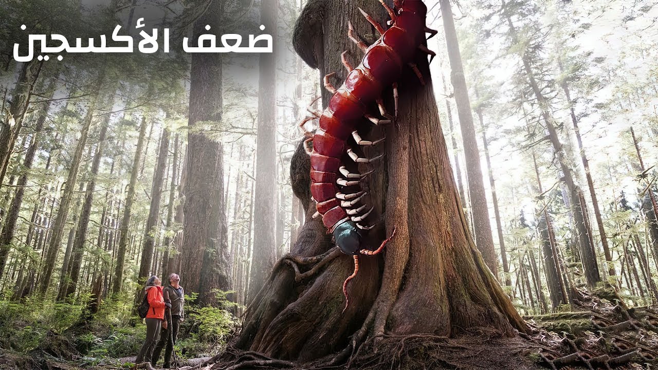 ماذا لو تضاعفت مستويات الأكسجين في الغلاف الجوي للأرض؟