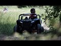 Buggy big horn pro 24 volts