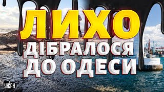 КАТАСТРОФА в Чорному морі! СТРАШНЕ ЛИХО дібралося до Одеси: екологи б'ють на сполох