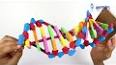 DNA'nın Yapısı ve Önemi ile ilgili video