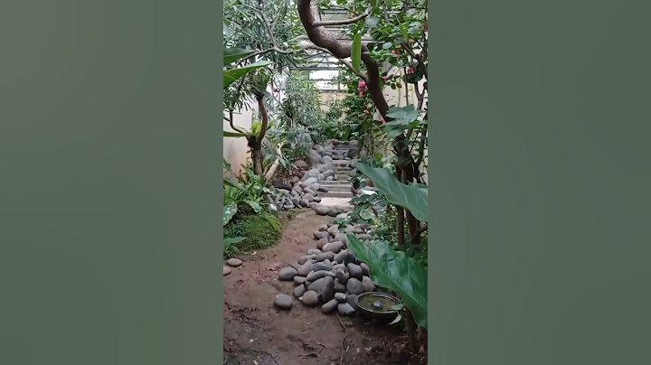 aviary belum jadi #muraibatu #aviary #birdlife