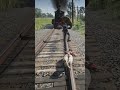 Mountain Lion Attacks on Railway Tracks - Train Coming Fast! RDR2 #shorts