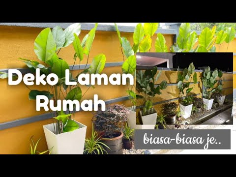 Video: Cara Menanam Taman Herba Ambang Tingkap Dalaman