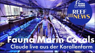 The real reason behind Cyanos and co… everything in the new live stream from the coral farm ..