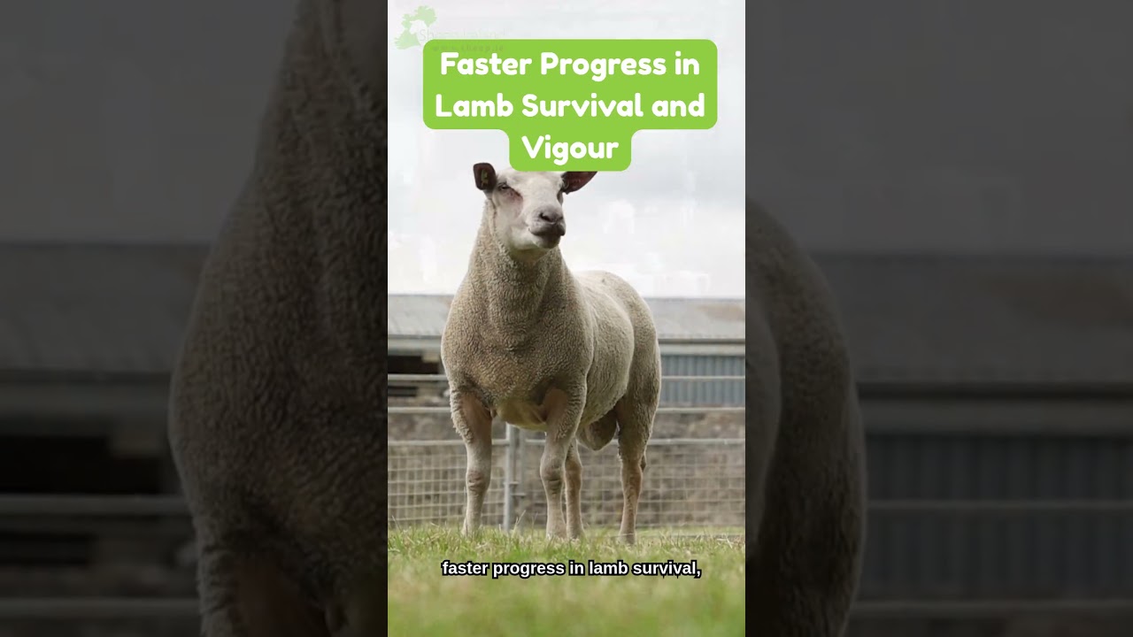 2026 Genetic Evaluation Updates