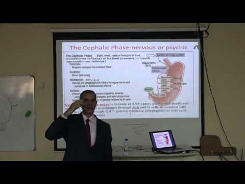 PHY. Gastric Secretion Dr. Zain