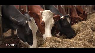 Star Et - Cantek Group