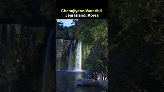 Cheonjiyeon Waterfall Night View in Jeju Island | South Korea Travel | 천지연 폭포 야간뷰