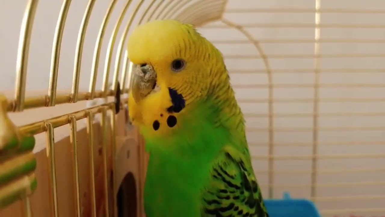 29 января 2026 г.