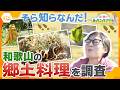 関西人でもそら知らなんだ！和歌山の郷土料理をあっちこっち徹底調査！【かんさい情報ネット ten./あっちこっちアダチ】 Mp3 Song