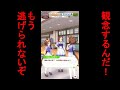 ビコーペガサス(CV田中あいみ)シンコウウインディ(CV高田憂希)サクラバクシンオー(CV三澤紗千香)会話【ウマ娘プリティーダービー】2周年アニバーサリー#ウマ娘 #ウマ娘プリティーダービー