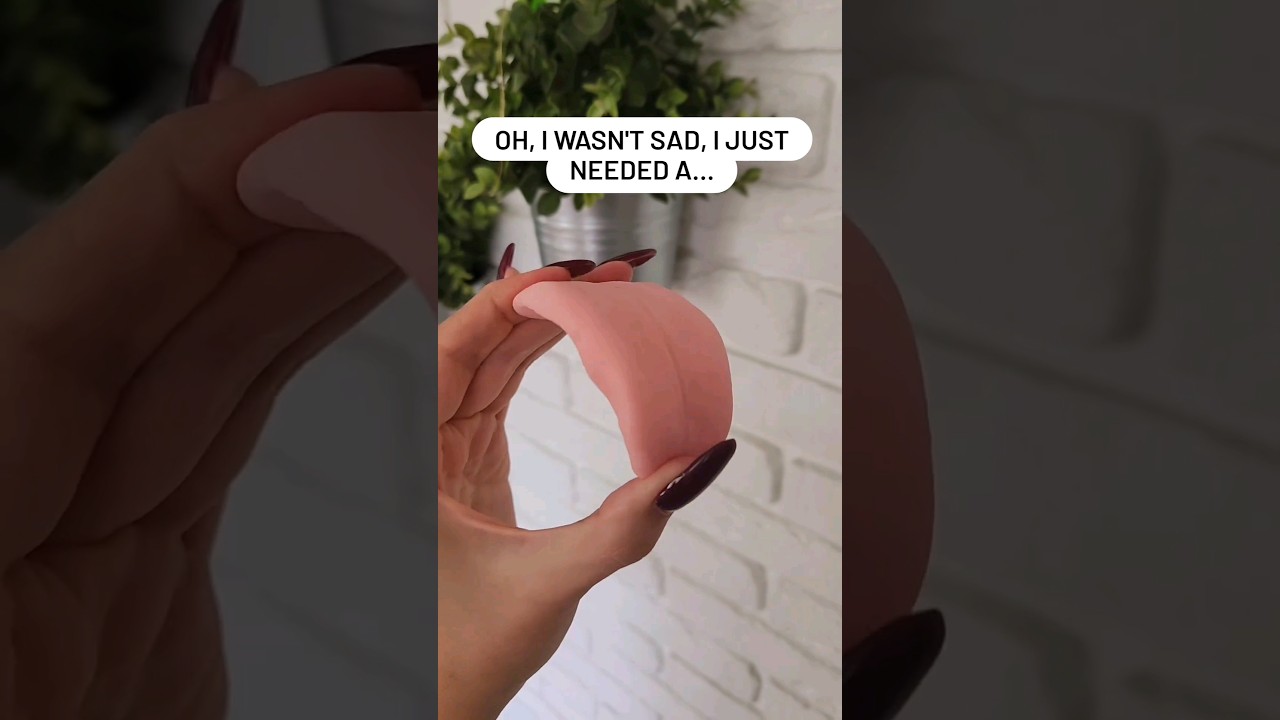 Australian Shepherd & Husky are still available 💖 LINK IN COMMENT➡️ 