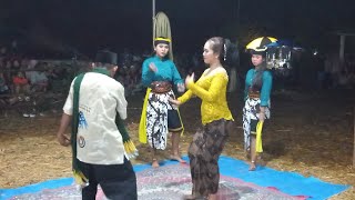 Kepodang kuning - arum budoyo desa logandu [ @budicepor8621 ]