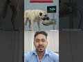 Which Animal 🦭🐠 Power Full 🌝😮😮| Lions #ytshort #facts #shortsfeed #youtubeshorts #sciencefacts