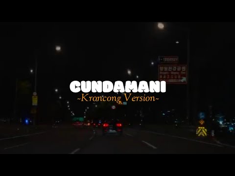 SHINTA ARSINTA - CUNDAMANI (OFFICIAL LIVE MUSIC) - DC MUSIK