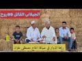 ريحة الدوار بالصوت والصورة في ضيافة الحاج مصطفى علوان الجيلالي القاتل 99 روح 