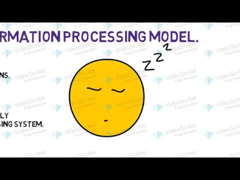 EMDR- Adaptive Information Processing - EMDR Series
