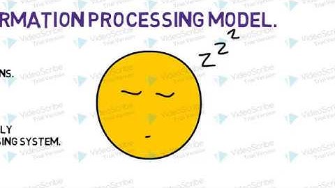 EMDR- Adaptive Information Processing - EMDR Series