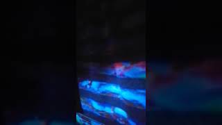 Allahumma salle ala Mohammad #viral