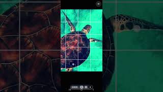 Drawing Grid 3.0