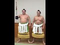 Hakuho vs. Harumafuji bouts with timeline 白鹏 对 日馬富士