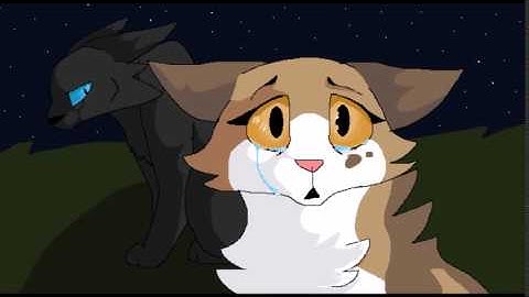 Promise me PMV MAP part 16