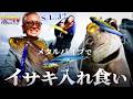 【SLJの新常識】イサキがウルメバイブで連発!試しごとがさらに釣りを楽しくする【ルアパラTV】
