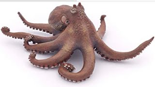 Wild  *OCTOPUS* CATCH,CLEAN & COOK BLUEGABE STYLE 🙌