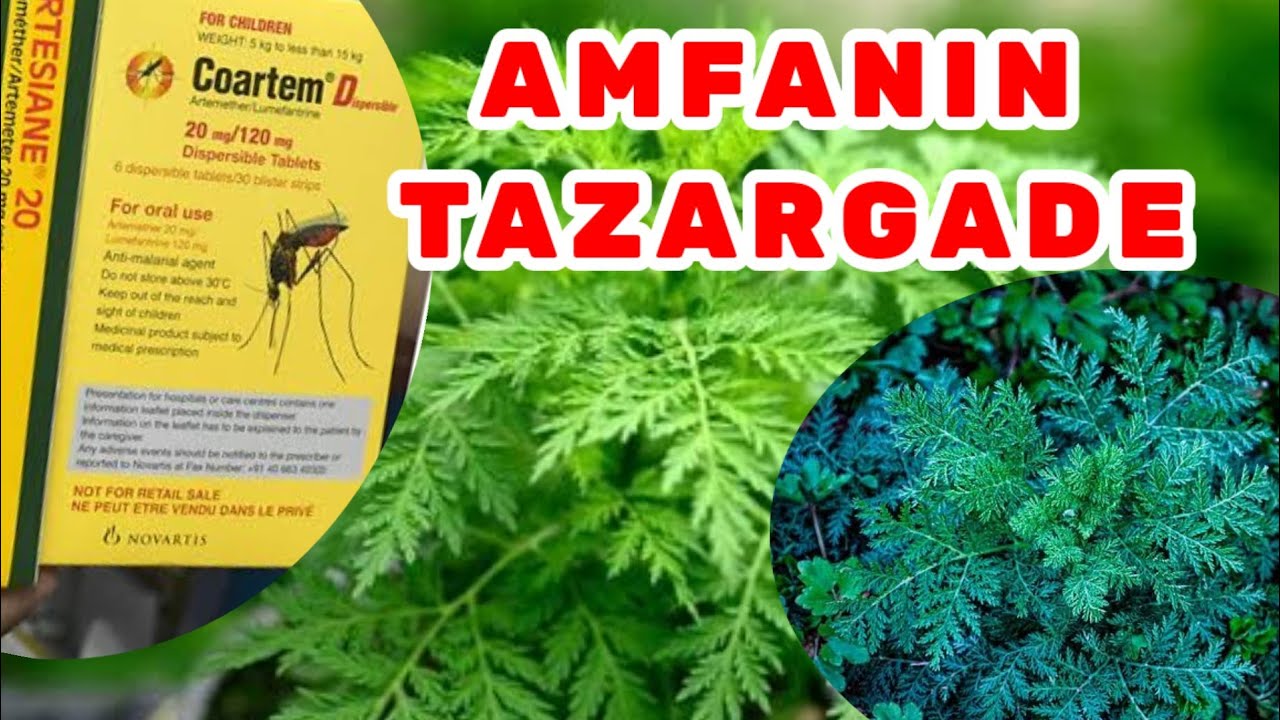 Amfanin Tazargade A Jikin dan Adam