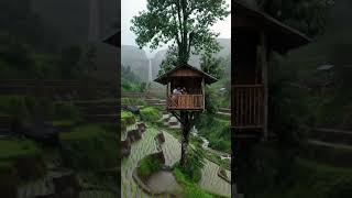 Rainy Mountain View from Tree Hut | Couple in Paddy Fields During Monsoon #rain #shorts #viral
