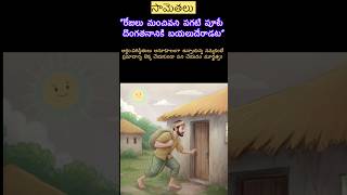 The Days Are Good, So Go Out To Steal During The Day