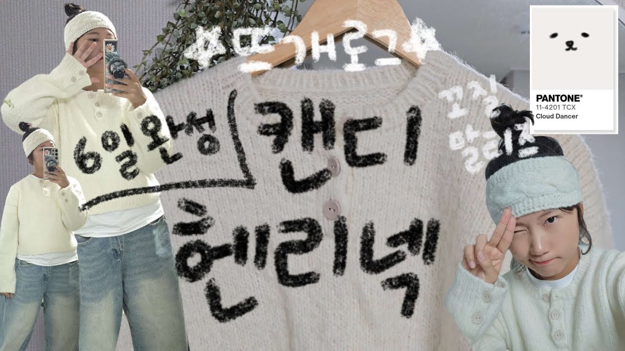 26년 첫 뜨개는 꼬질말티즈 색으로 스웨터뜨기 (6일 완성) 